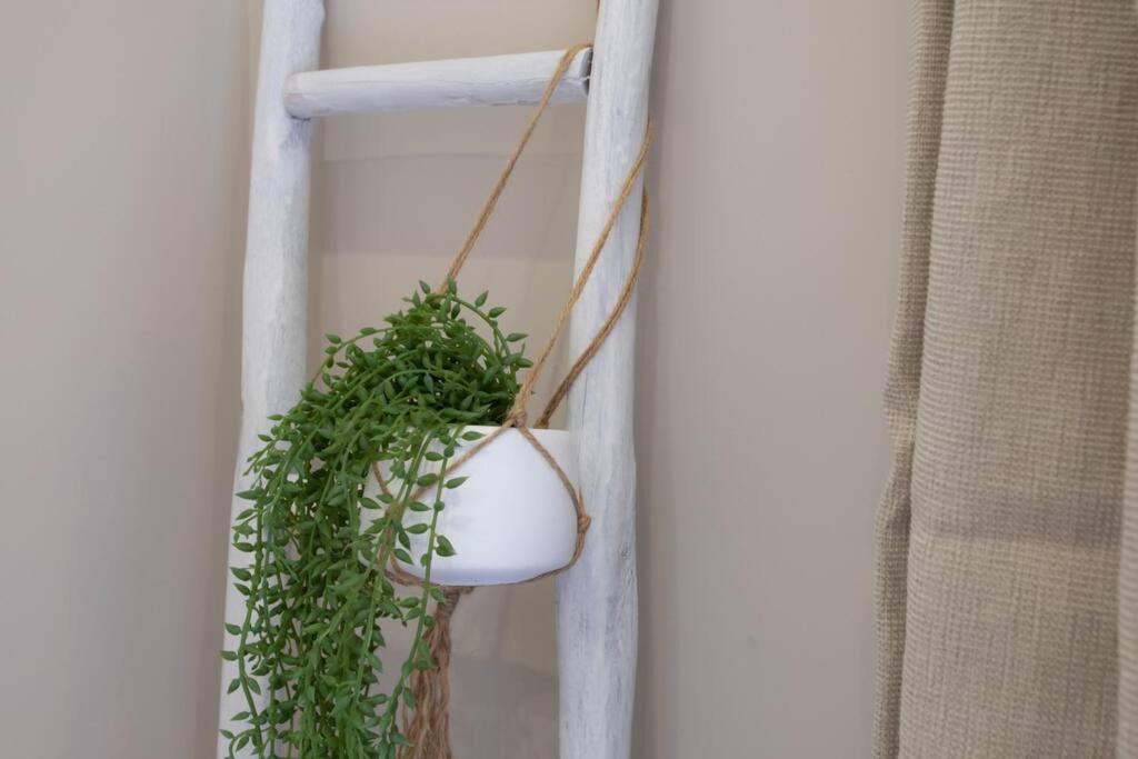 L19 1Bdr Massena Central 2Mins Sea/Promenadeac/Balcony Νίκαια Εξωτερικό φωτογραφία